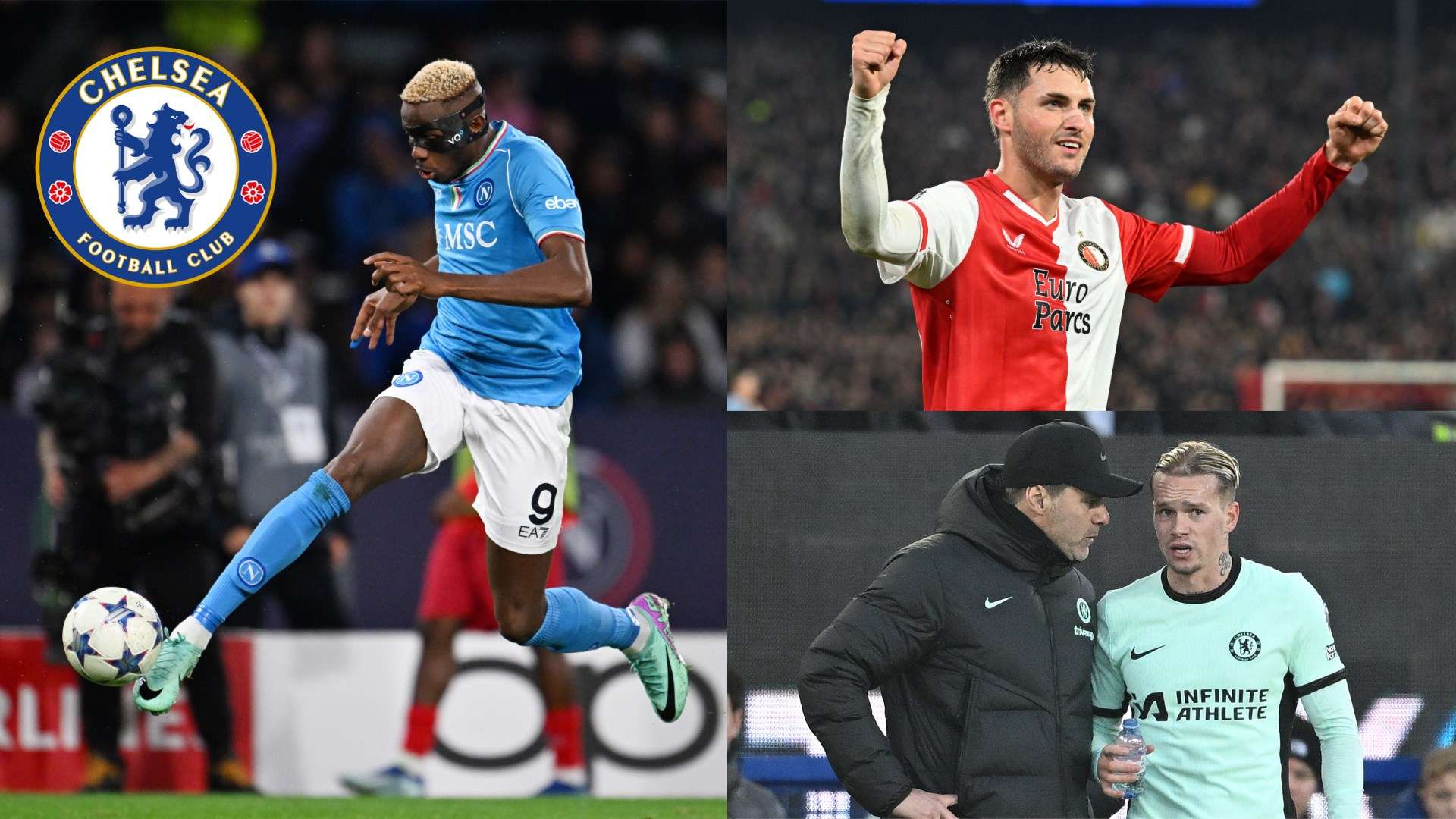 标志技能 标志技能