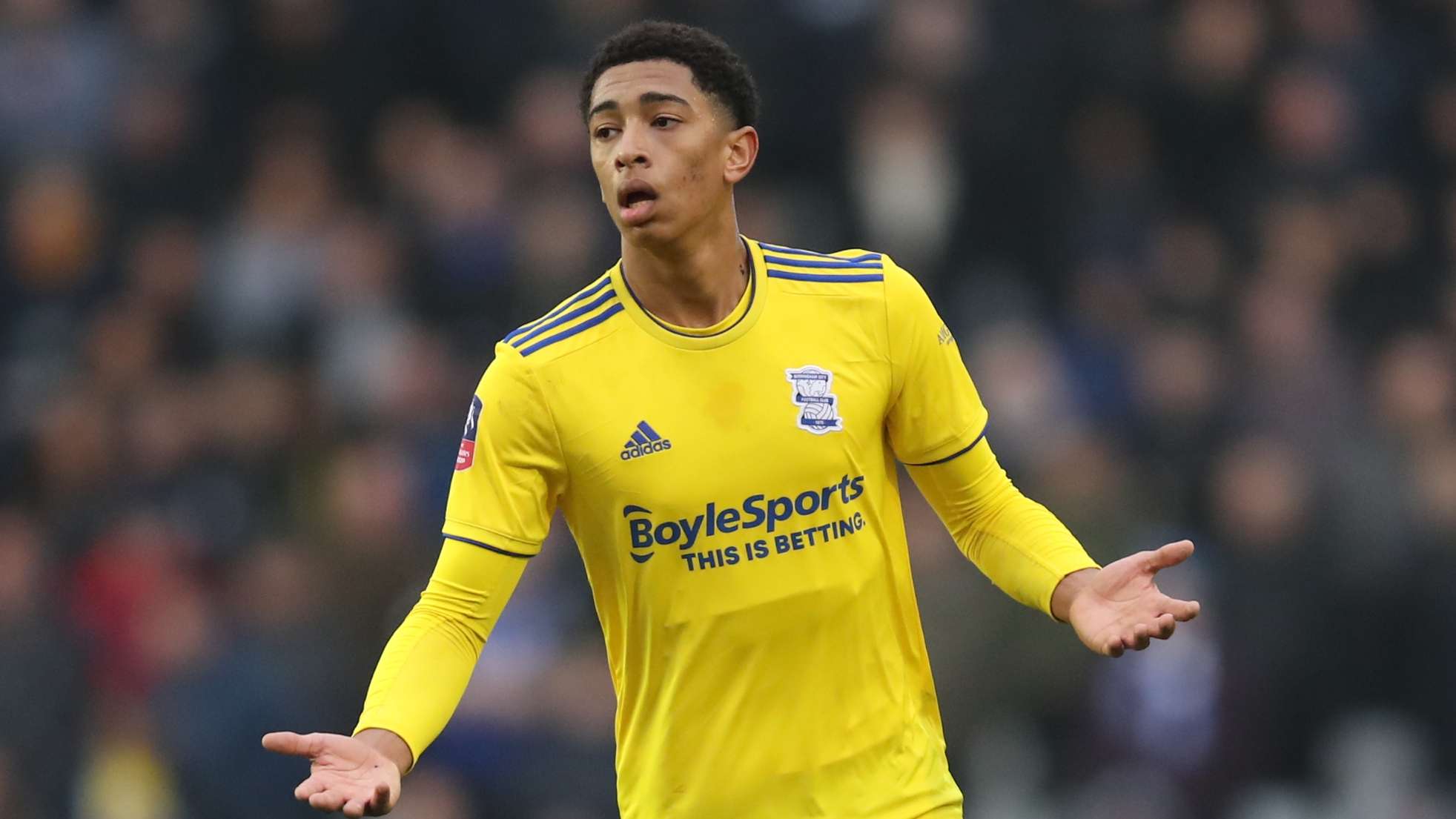 能否快速適 能否快速適