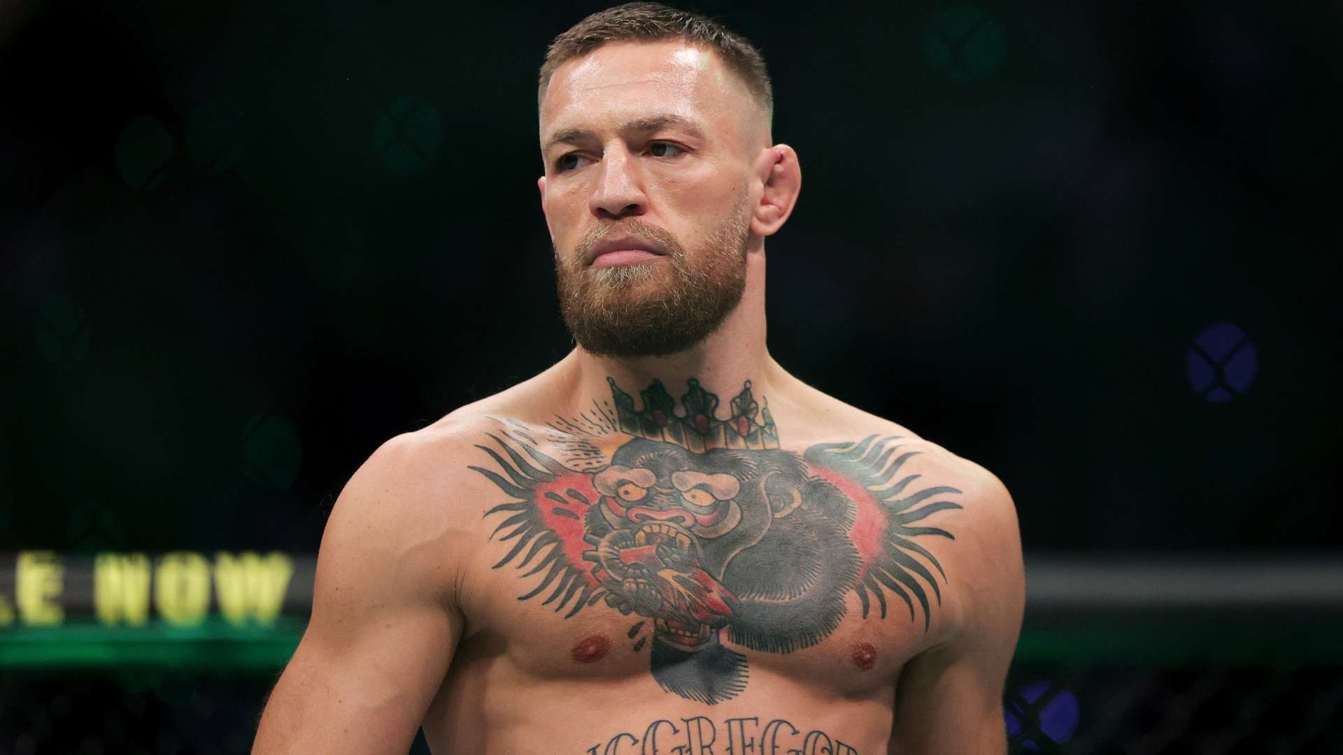 赛事增添了 赛事增添了