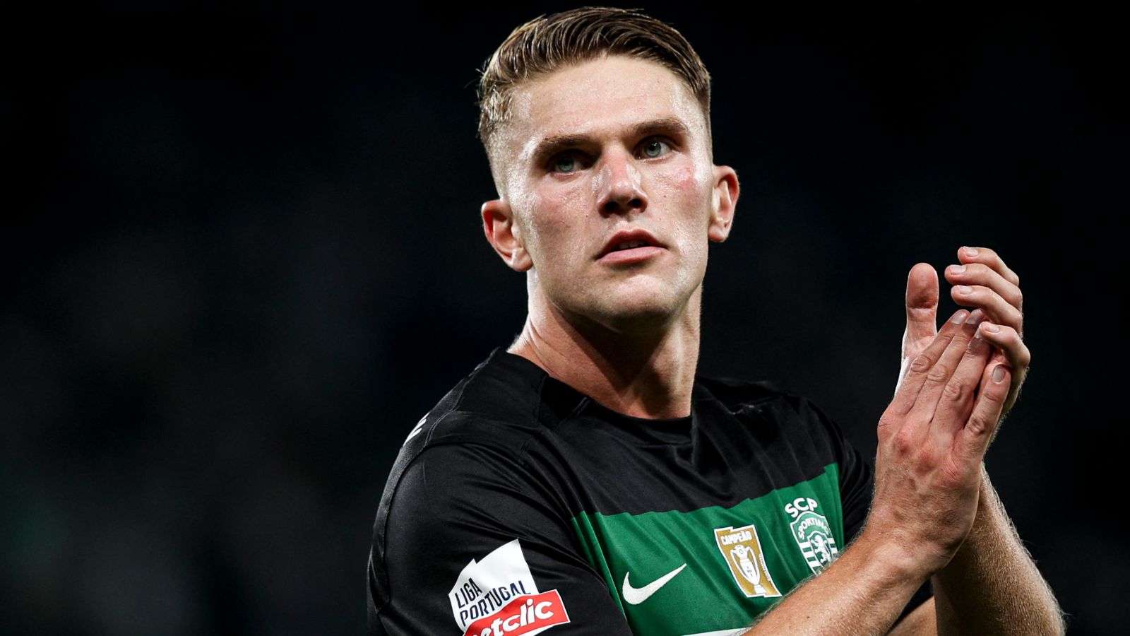 手段主导亚 手段主导亚