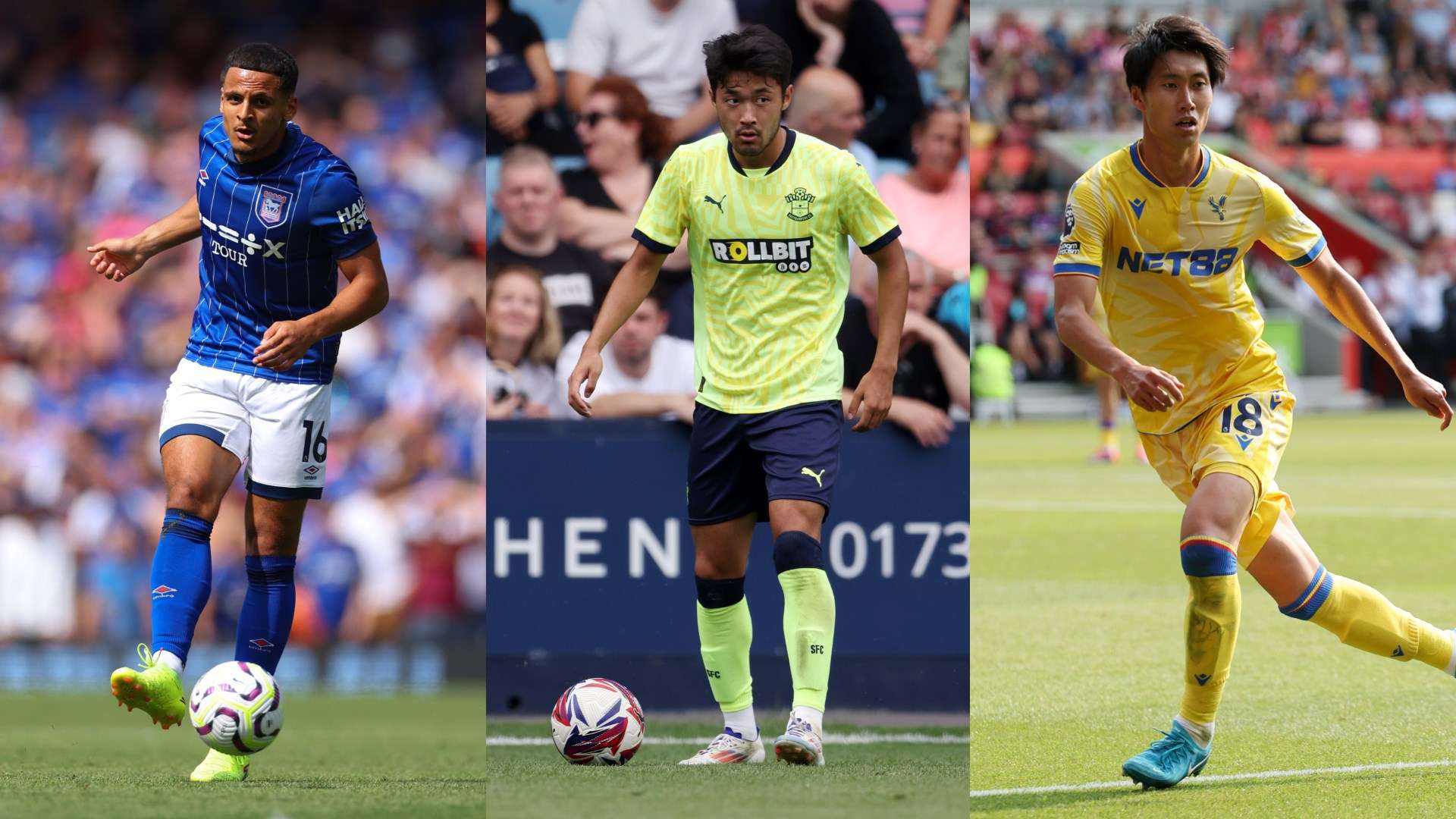 他们的努力 他们的努力